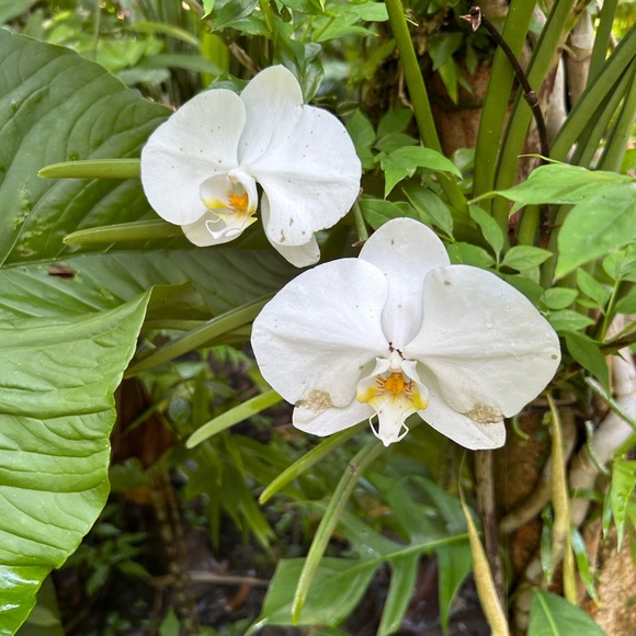 Meet your Posher, Maria - Picture 3 of 6